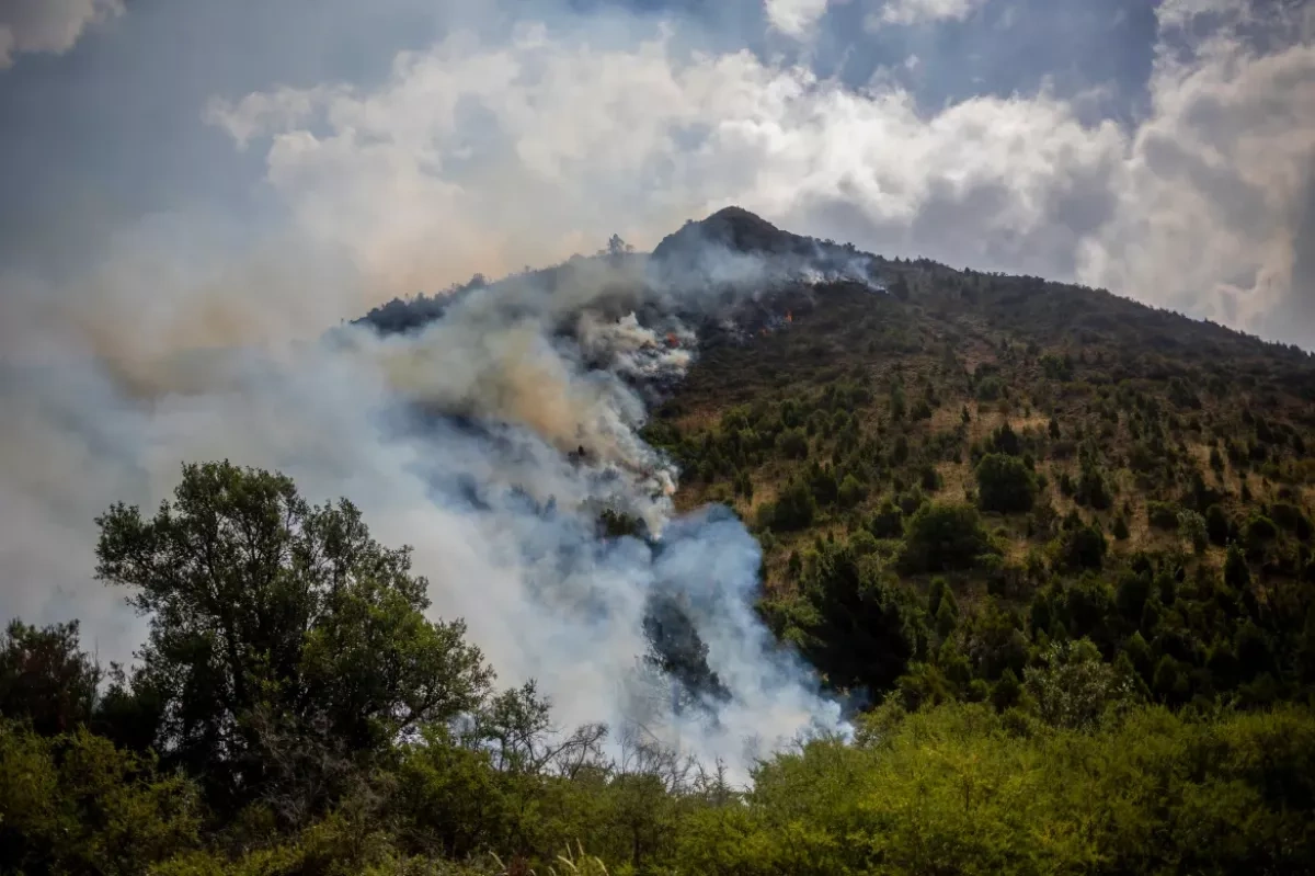 Argentina’s budget cuts fuel wildfire catastrophe in Patagonia