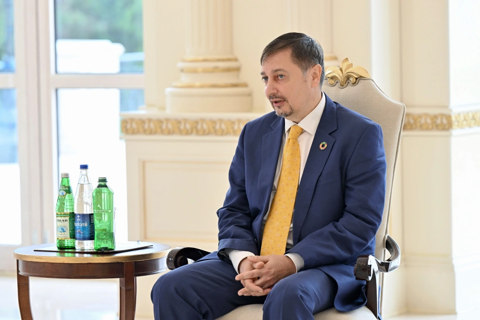 President Ilham Aliyev receives newly appointed UN Resident Coordinator in Azerbaijan (PHOTO)