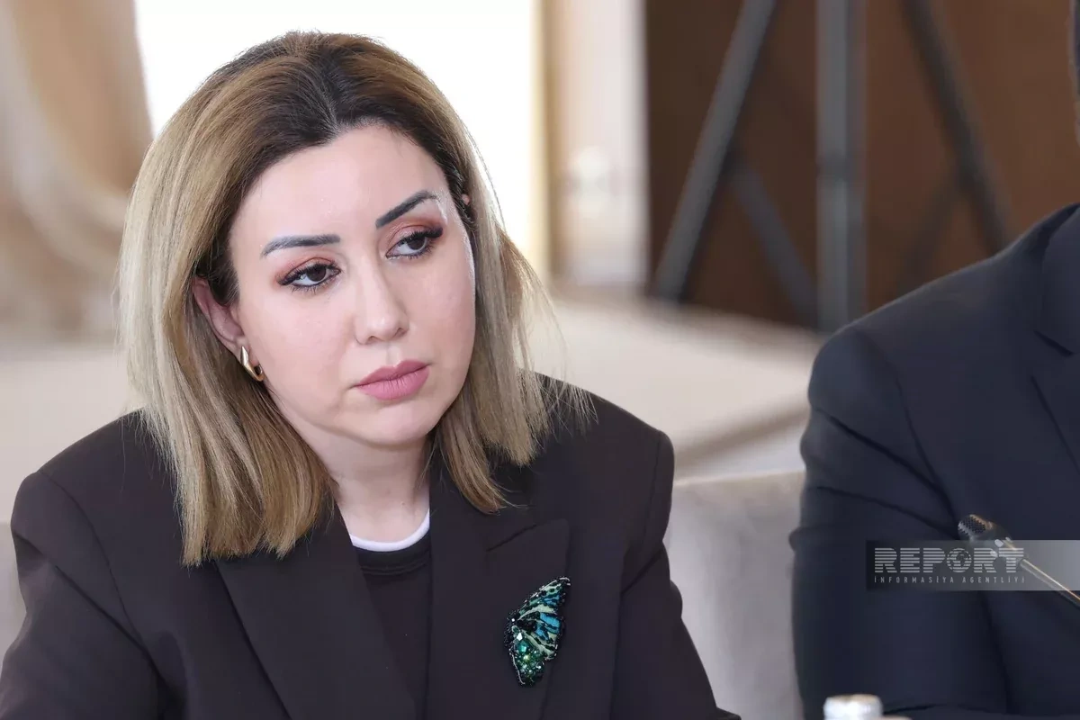 Armenian pundit: Conditions in place for stronger South Caucasus integration