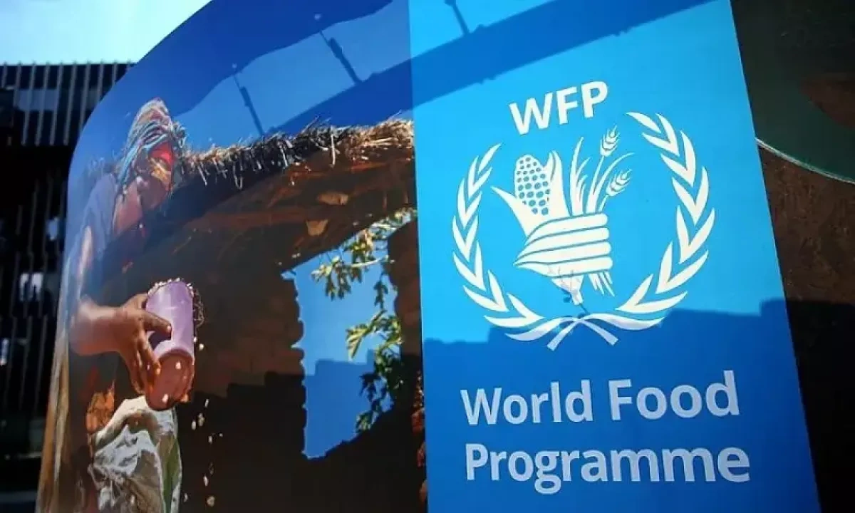 World to face escalating hunger crisis if Iran war continues, UN WFP warns