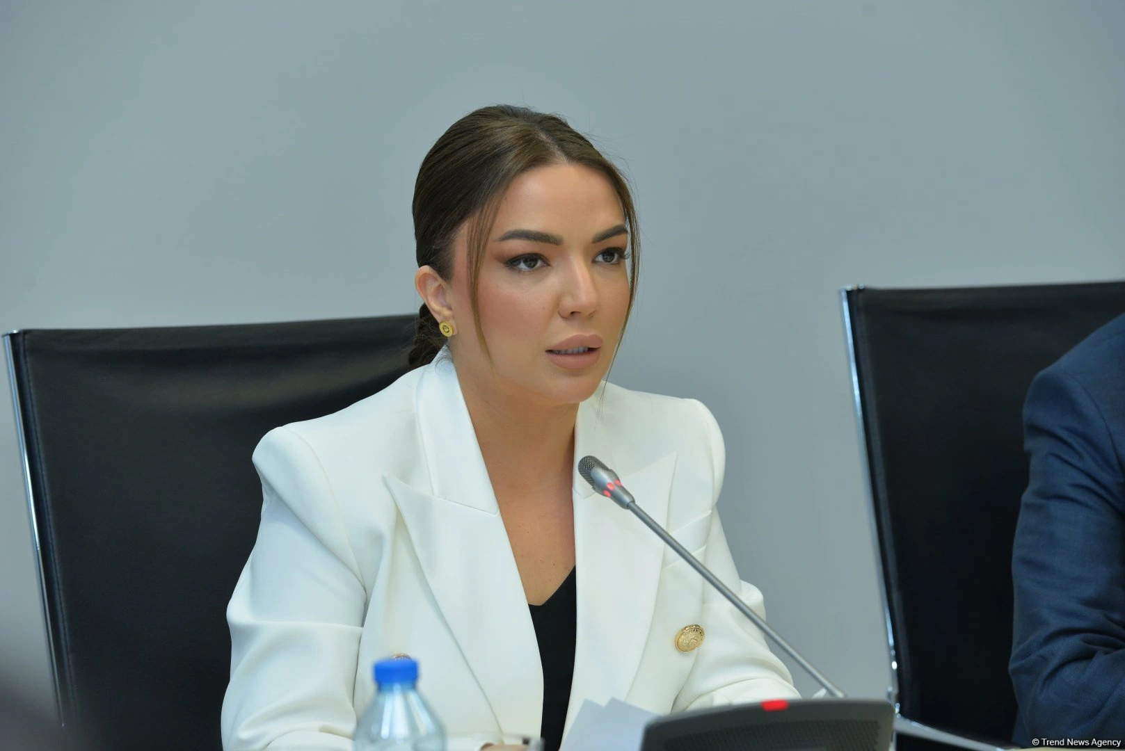 Azerbaijan shaping inclusive future living model in liberated territories - official