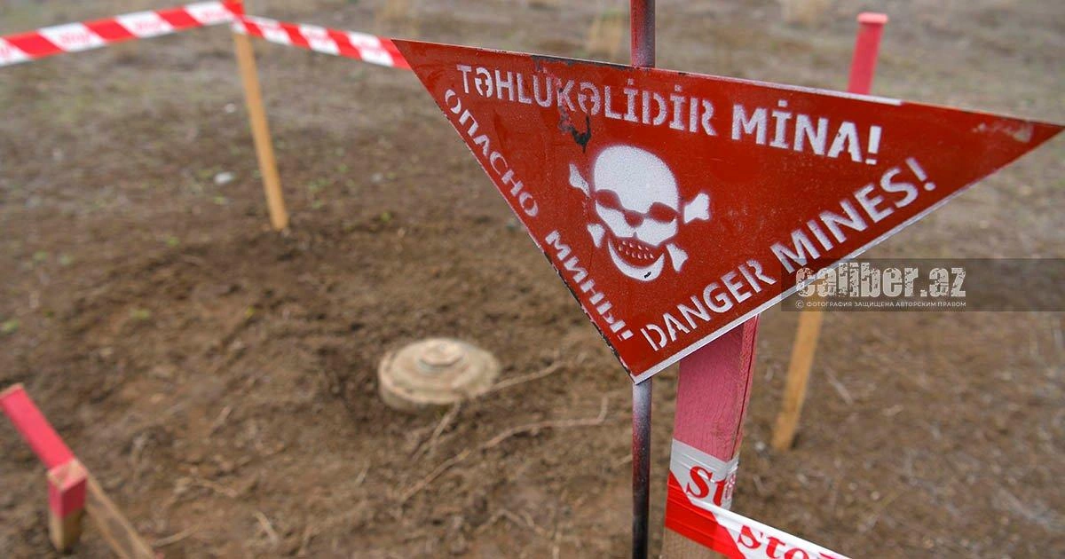 Azerbaijan clears 1,581 hectares of land in weekly demining operations PHOTO