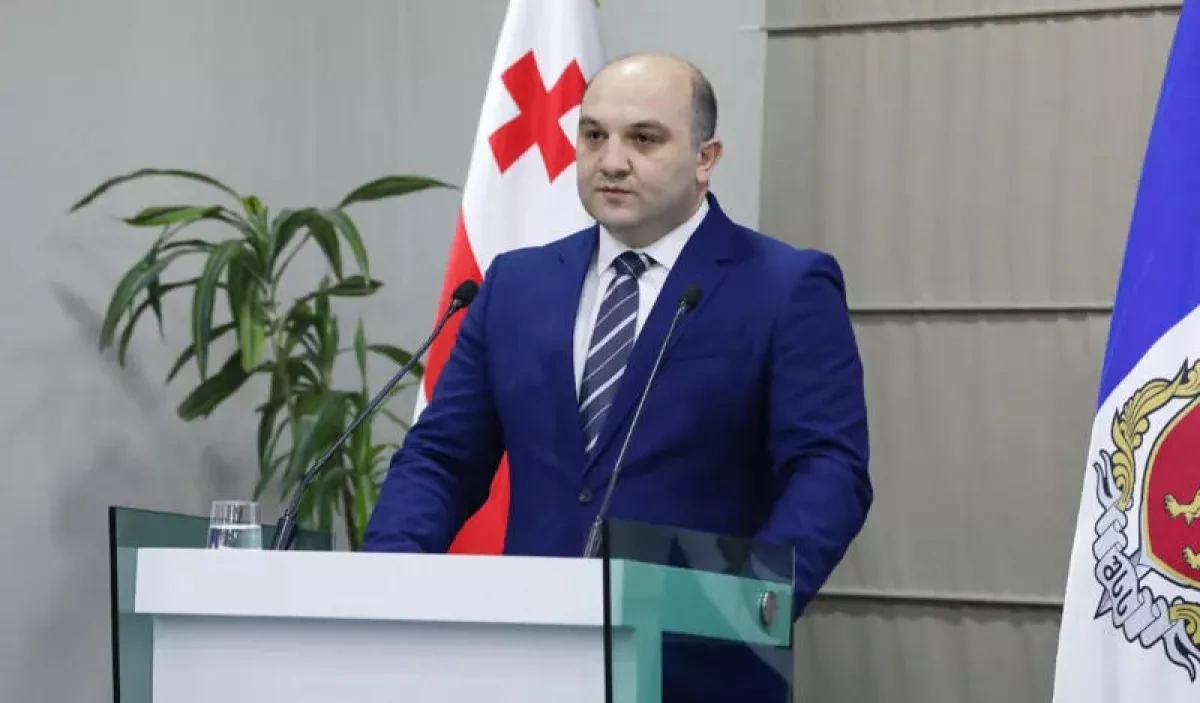 Official: Georgia takes more lenient approach to “hate speech” than Europe