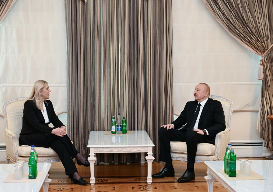 President Ilham Aliyev meets with Member of Presidency of Bosnia and Herzegovina (PHOTO)