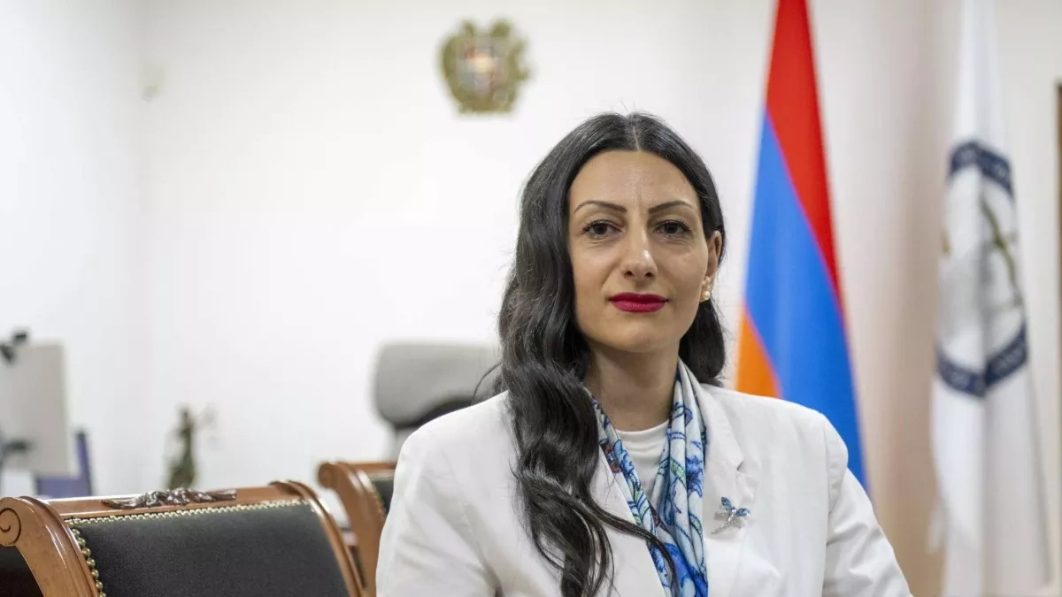 Armenian ombudsman questions detention of teen accused of targeting Pashinyan