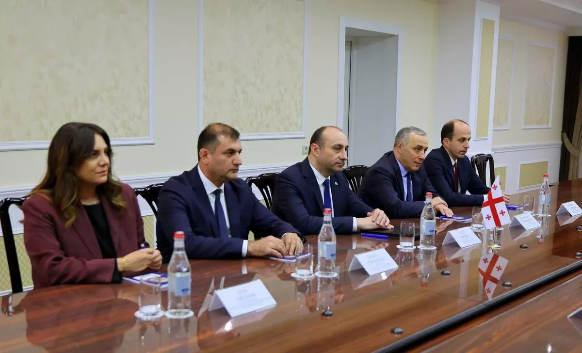 Georgia, Armenia security chiefs discuss regional stability PHOTO