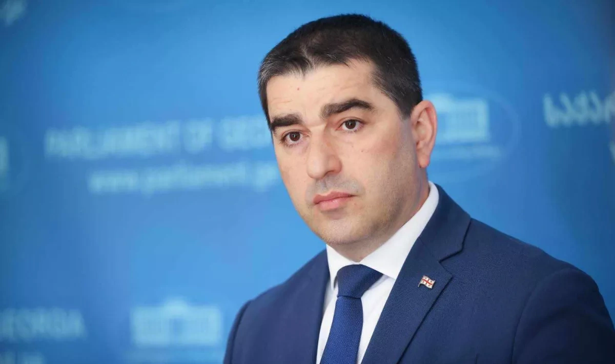 Georgian parliament speaker accuses UK embassy of “crocodile tears”