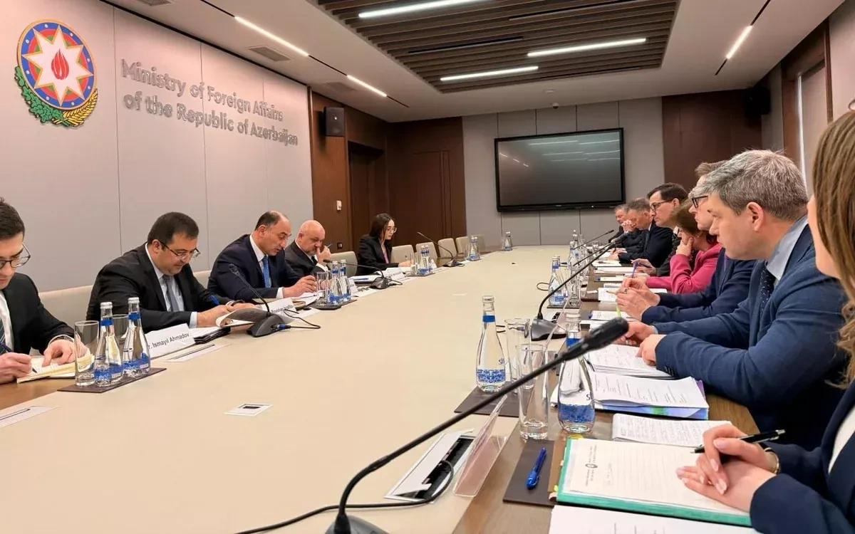 Nordic-Baltic Eight discusses peace process between Baku and Yerevan PHOTO