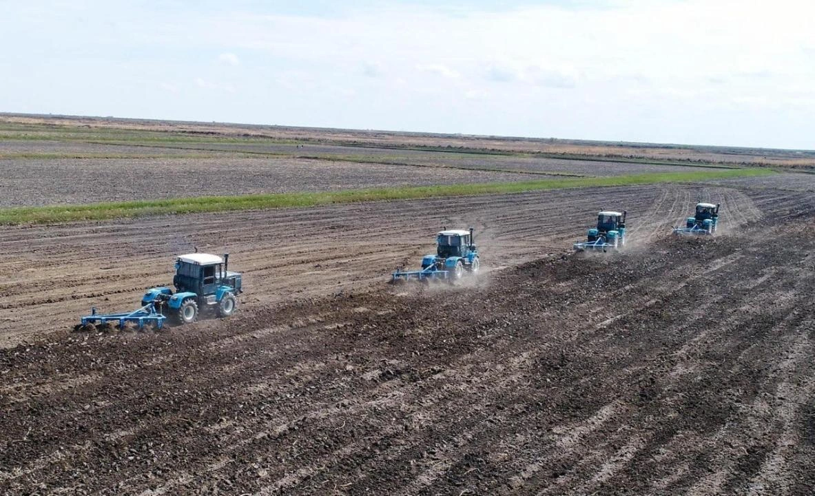 Iran's Kermanshah Province sets record in agricultural production