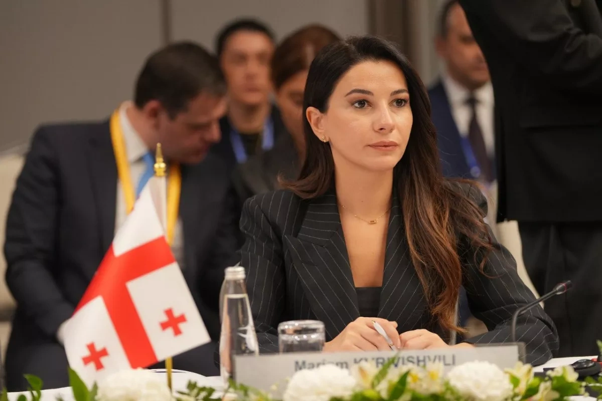 Georgia’s economy chief calls Azerbaijan key partner in energy and transport