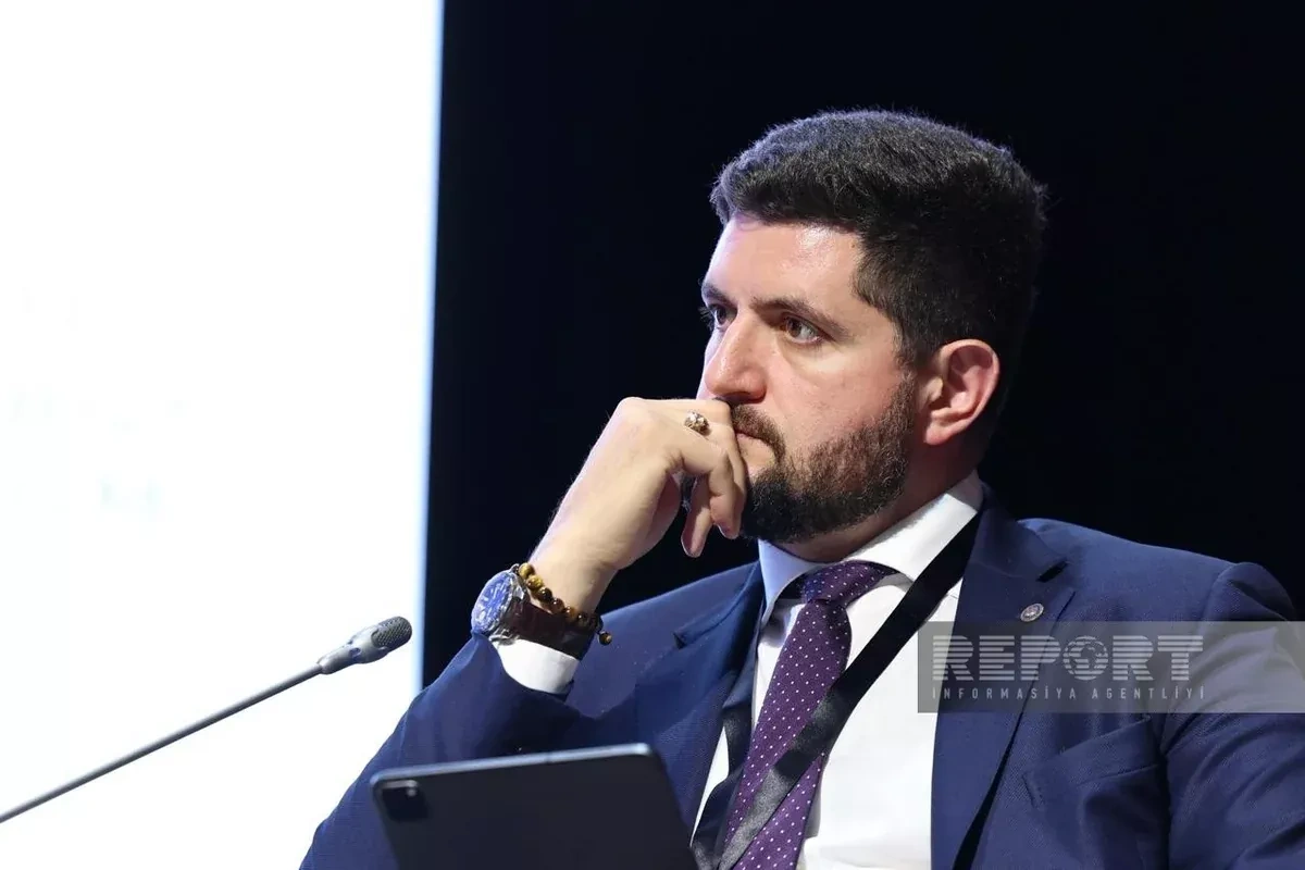Minister: Azerbaijan helped Moldova diversify gas supplies during energy crisis