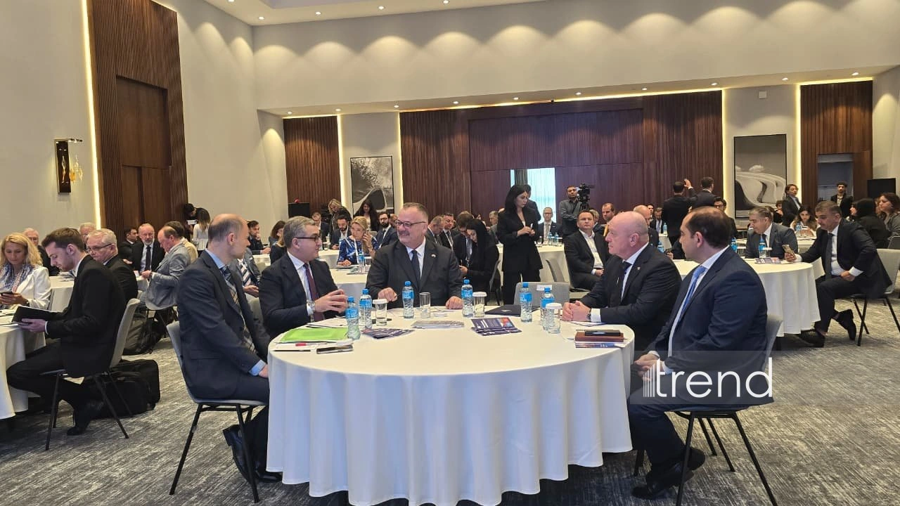 Azerbaijan-Czech Republic business forum underway in Baku (PHOTO)