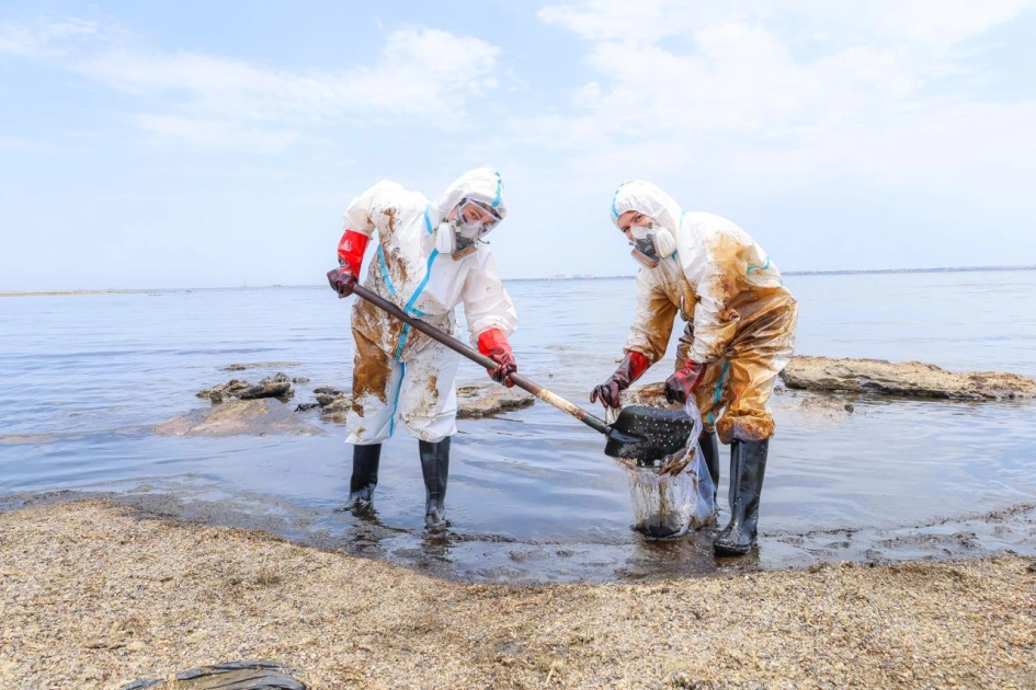 Cleanup campaign held in Dubendi residential area at Leyla Aliyeva’s initiative (PHOTO)