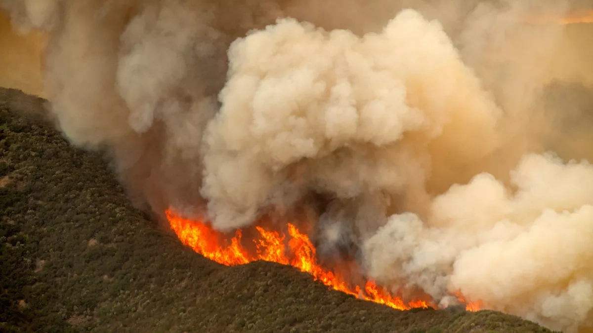 Southern France battles fast-moving wildfires in scorching conditions