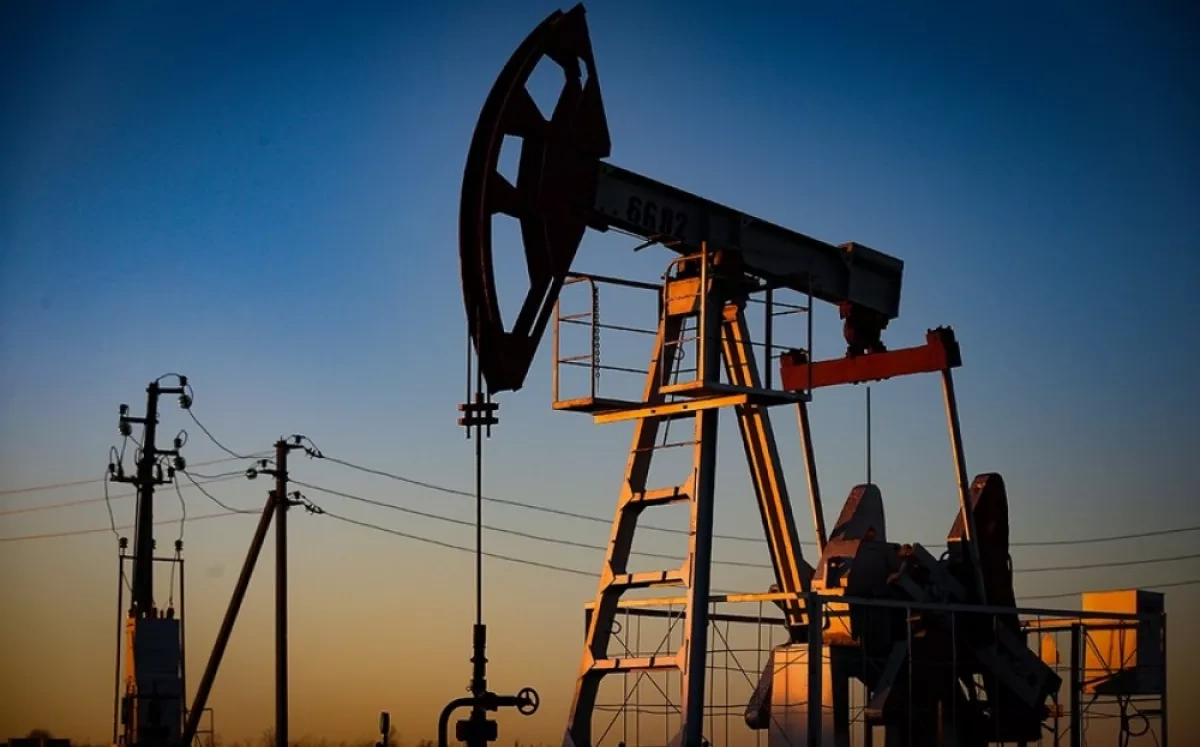 Russia’s oil shipments to India likely to fall, says minister