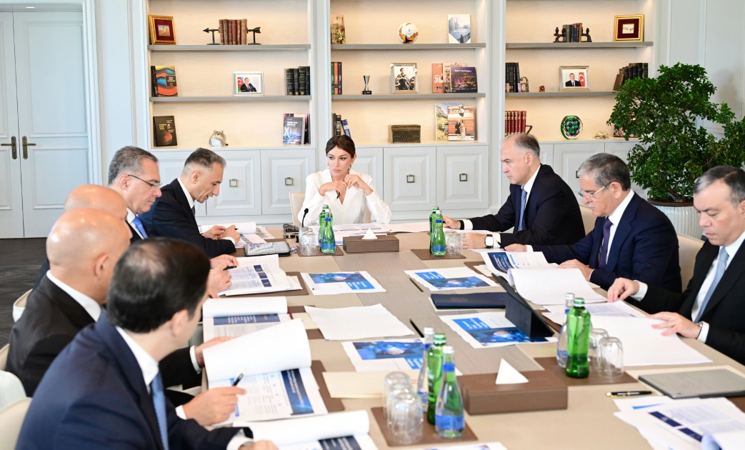 First Vice President Mehriban Aliyeva chairs first meeting of Council on Digital Development (PHOTO)