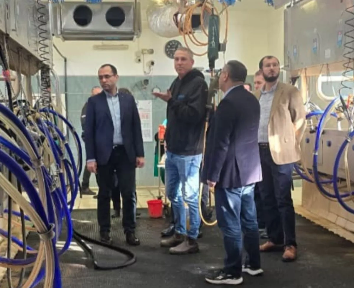 Azerbaijan, Israel launch initiative to share expertise in modern animal husbandry photo