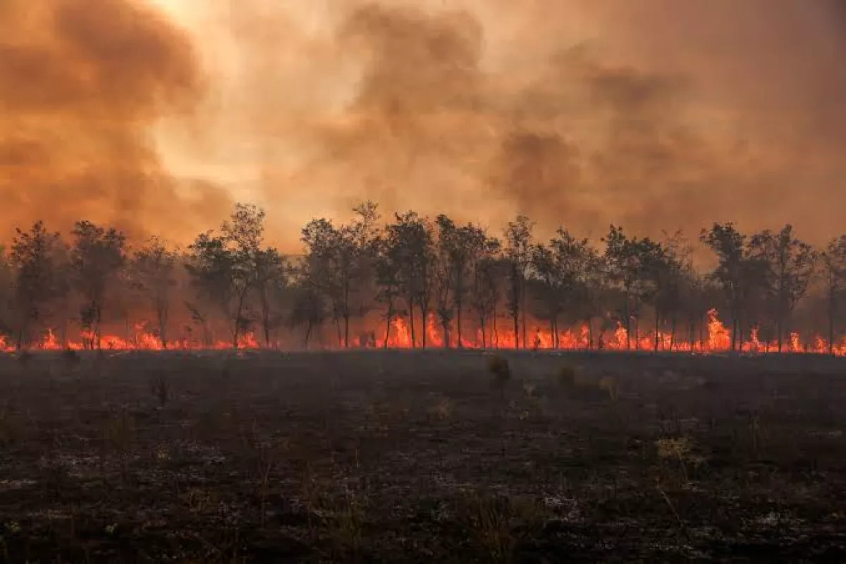 Europe's wildfire strategy faces early test as blazes outpace prevention plans