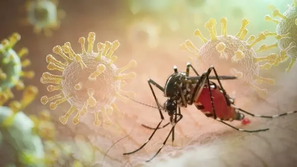 Dangerous virus transmitted through mosquito bites detected in Georgia