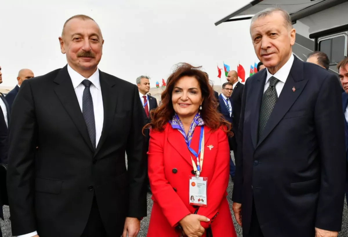 Azerbaijani leader praised by diaspora for shattering Western stereotypes, securing victory