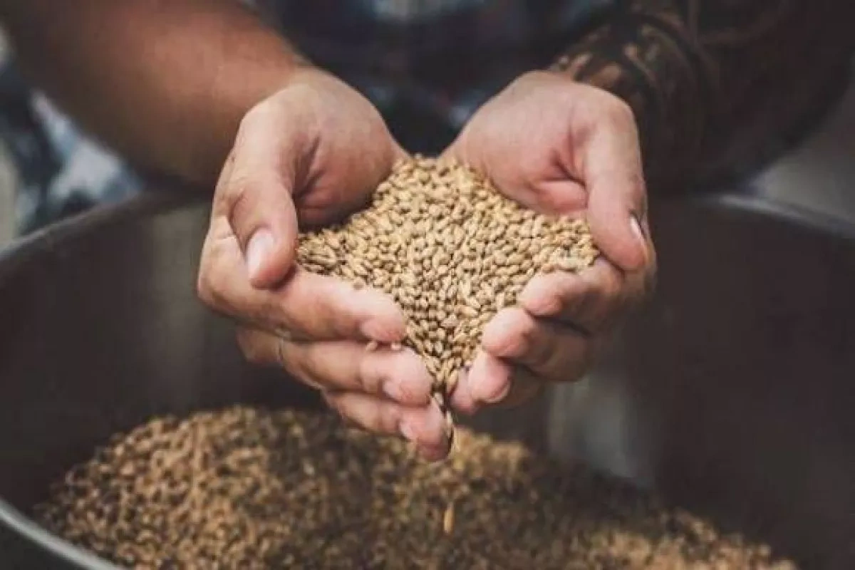 From digitalisation to aquaculture: Azerbaijan launches sweeping agricultural reforms Review by Khazar Akhundov