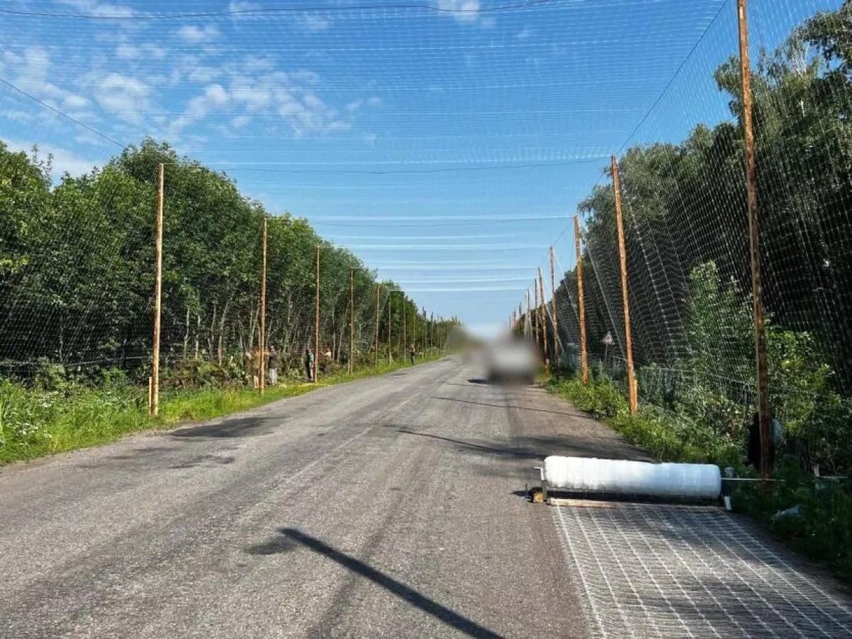 Ukraine sets up anti-drone protection system around Kharkiv