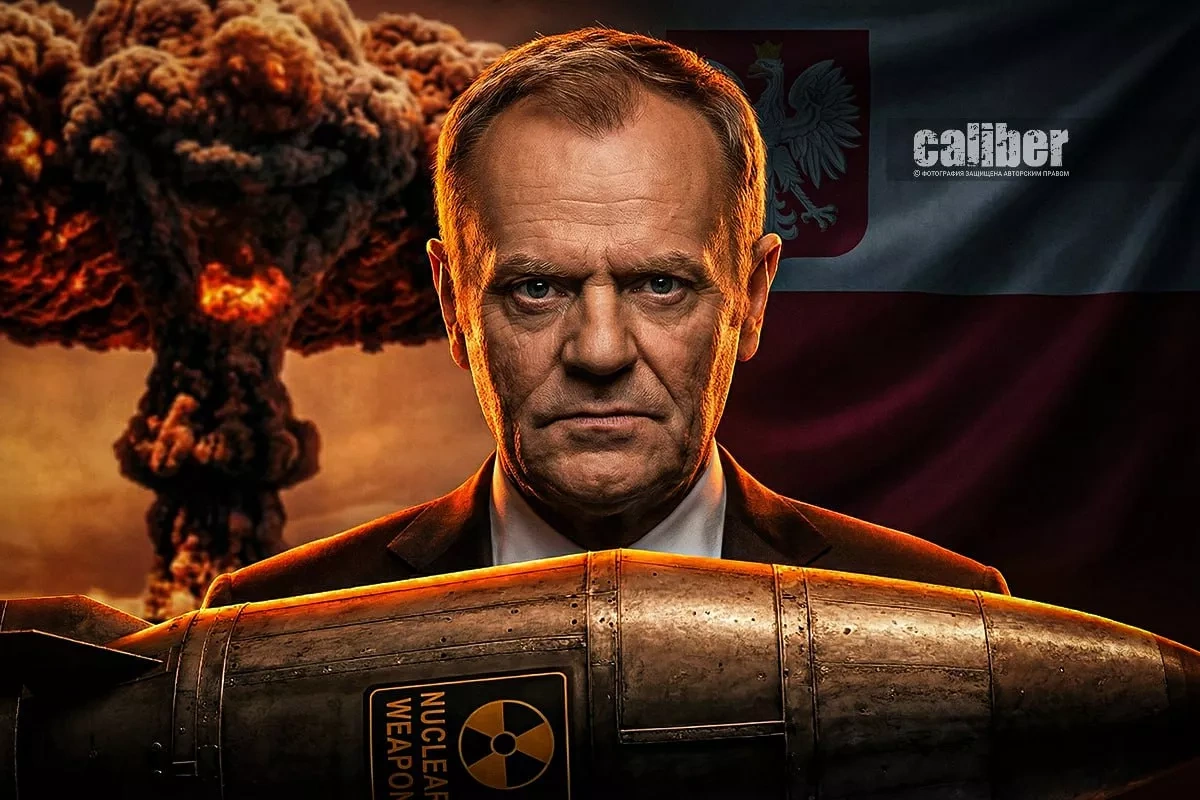 Warsaw’s nuclear dream Ambitions, limitations, and the West’s position