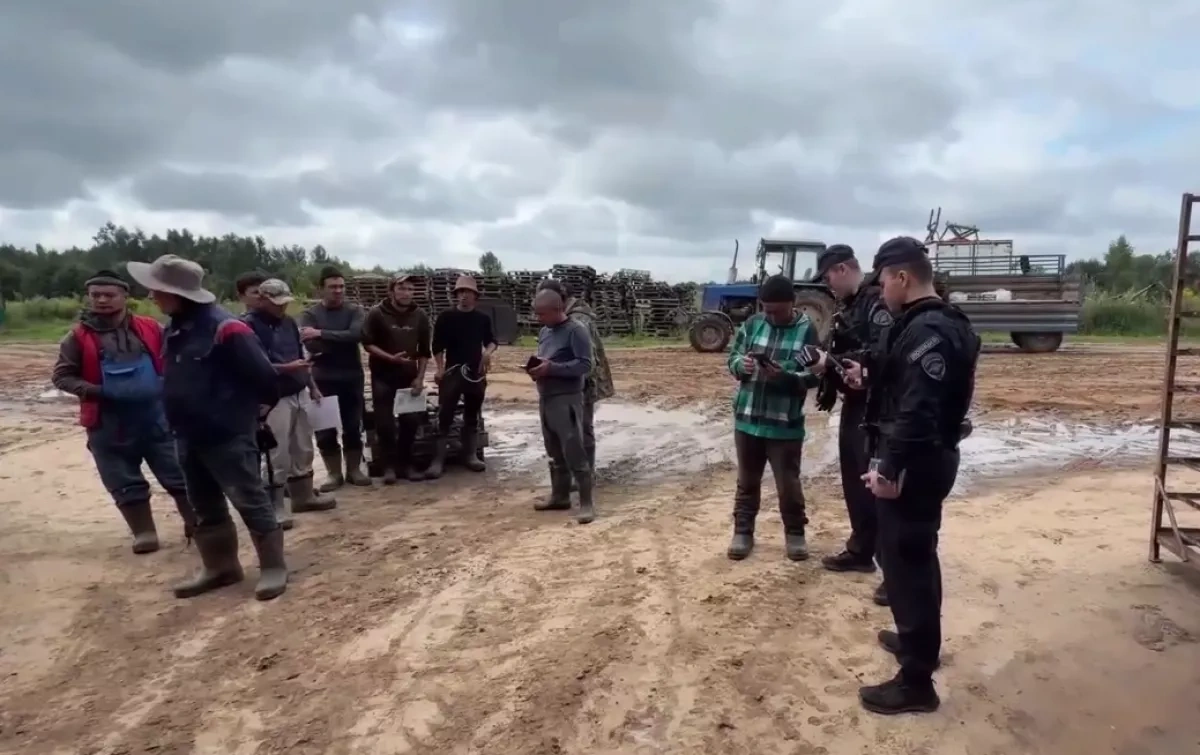 Russian authorities detain 109 migrants in raid near Moscow VIDEO