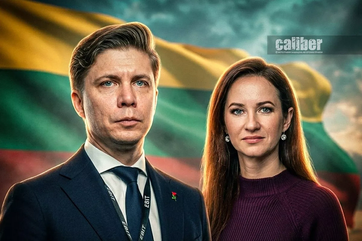 Reshuffle without crisis: Lithuania changes government Article by Matanat Nasibova