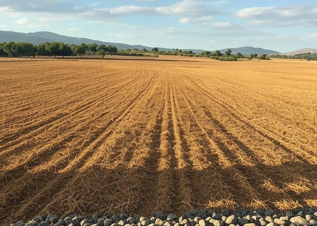Azerbaijan enacts permit requirement for agricultural facility construction