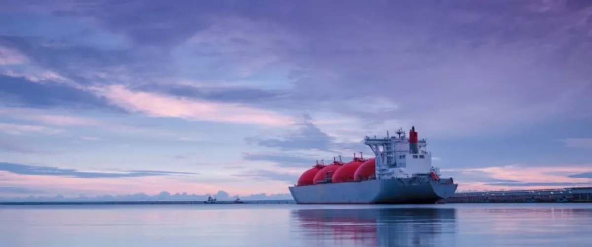UAE LNG exports defy Strait of Hormuz risks