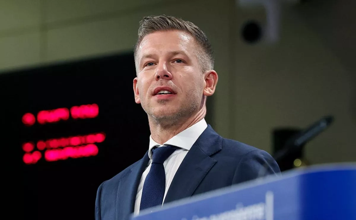 Media: Hungarian PM launches purge of security apparatus
