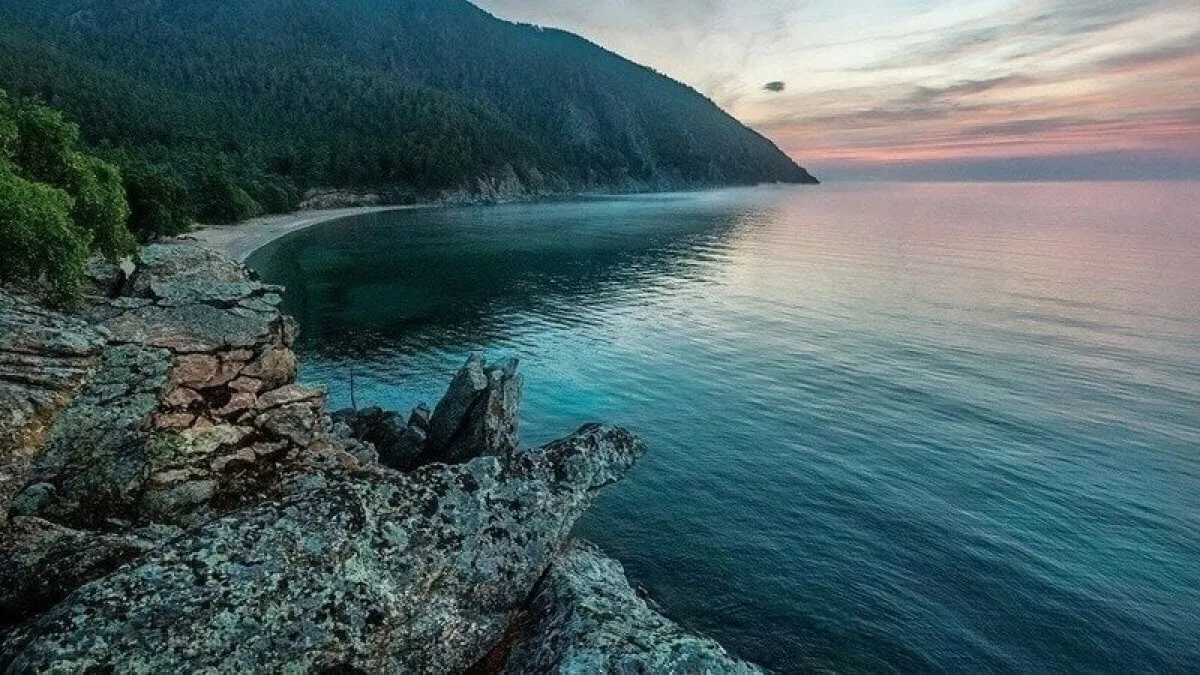 Russia loosens logging restrictions in Baikal area for dead forest stands