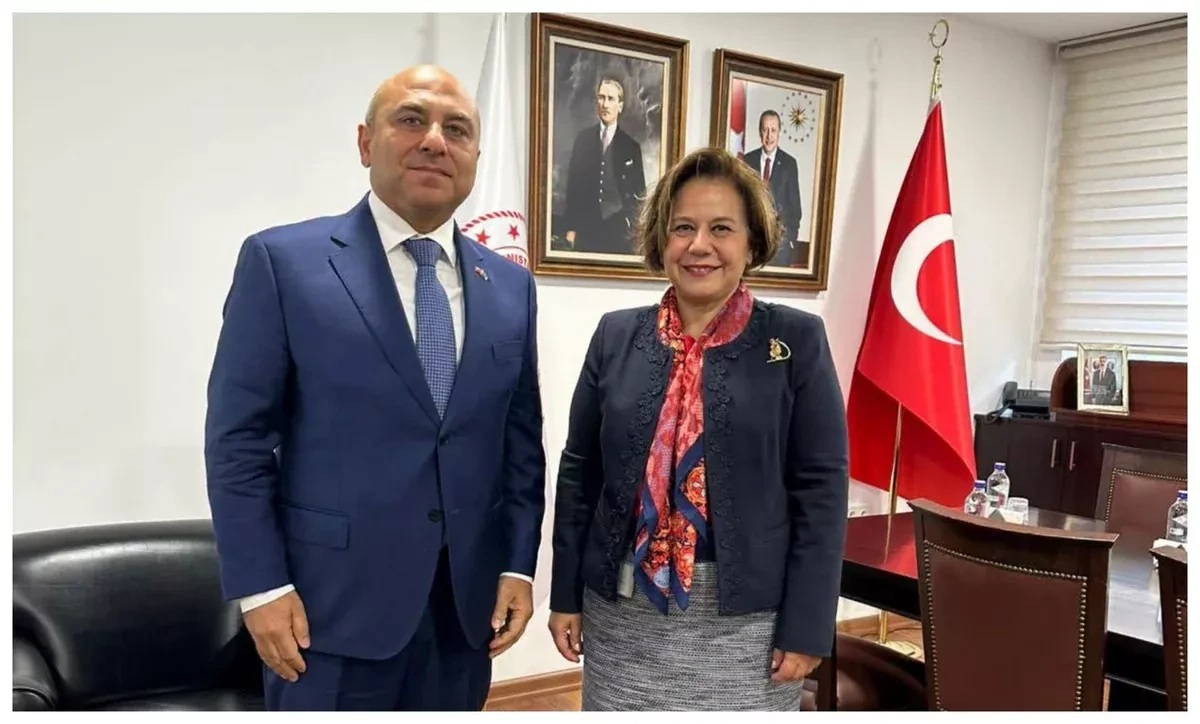 Azerbaijan, Türkiye discuss development of allied relations