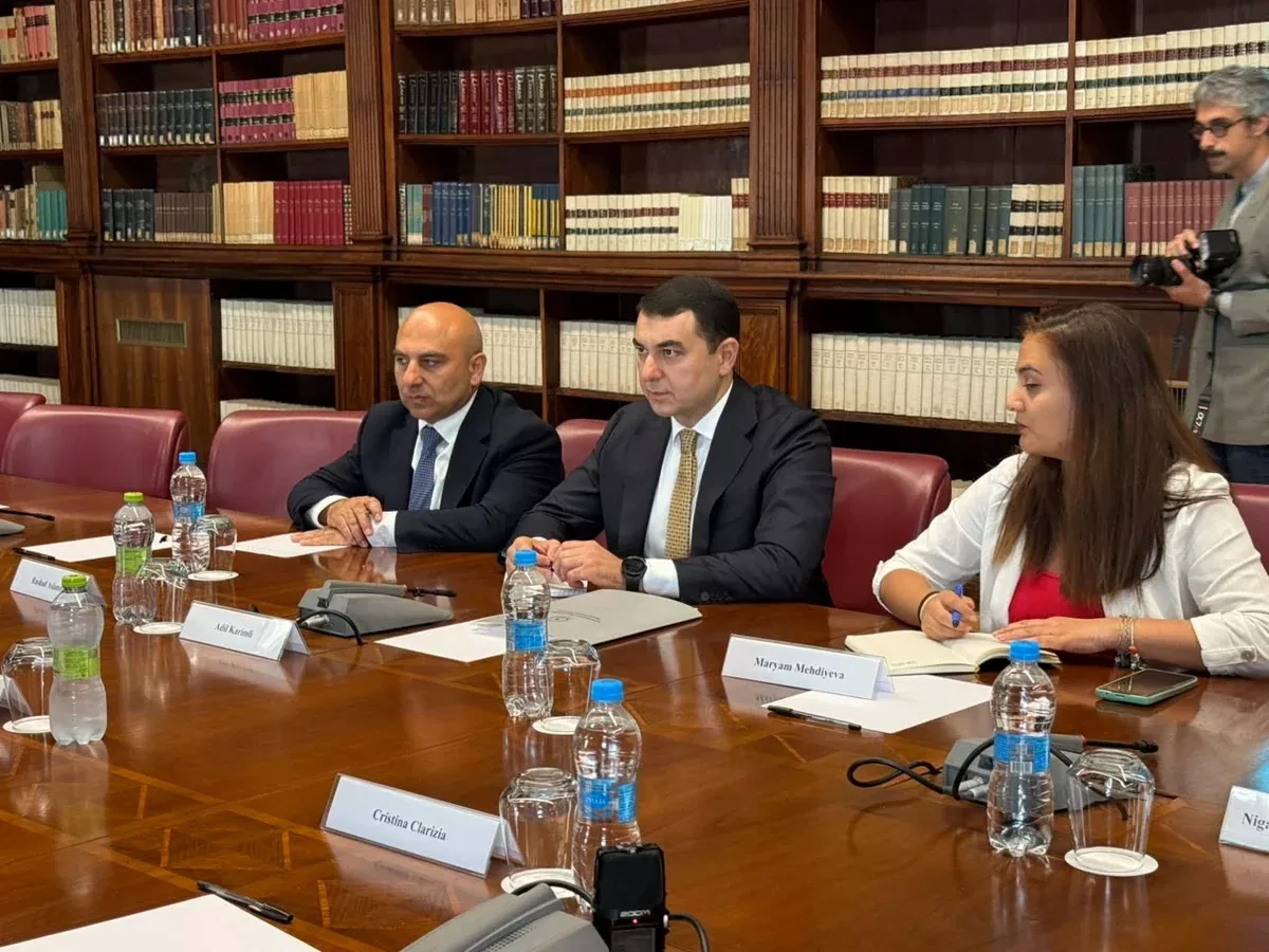 Azerbaijan, Italy discuss cultural heritage preservation, cooperation PHOTO