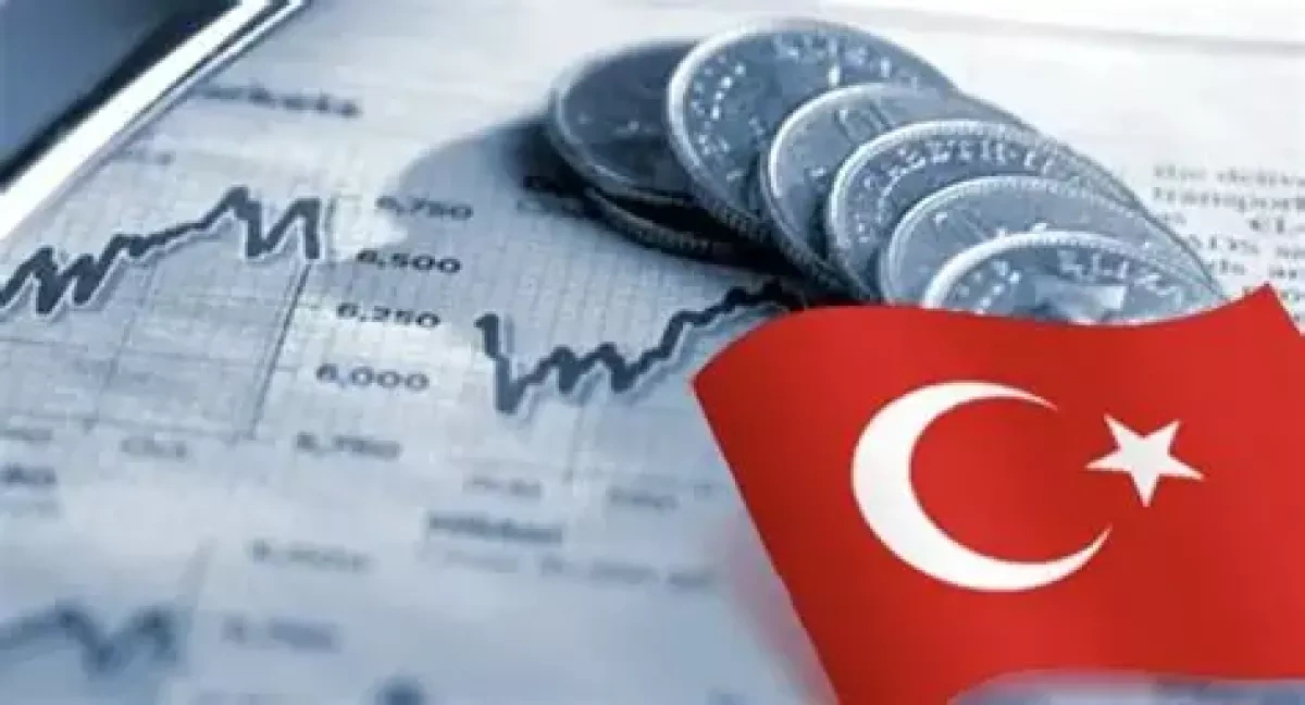 Türkiye’s economy expands despite construction sector slump