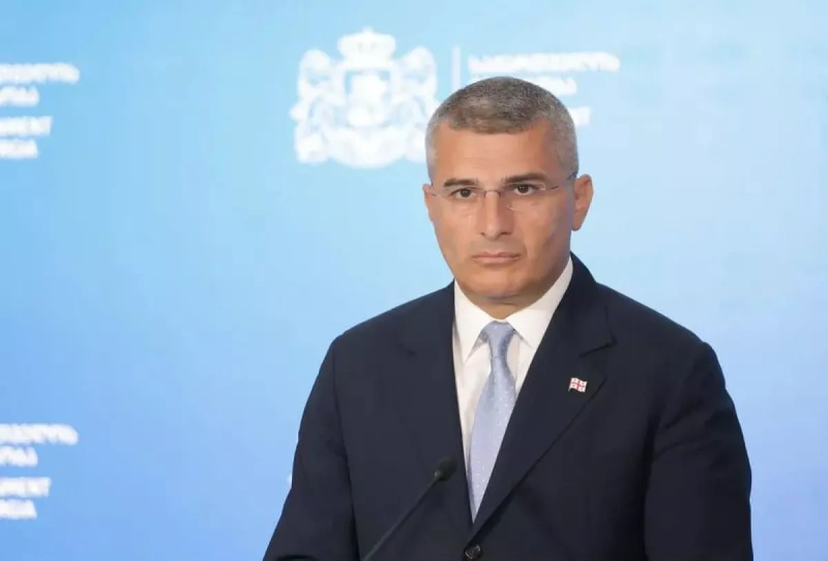 Georgia’s deputy PM quits politics, says he needs break