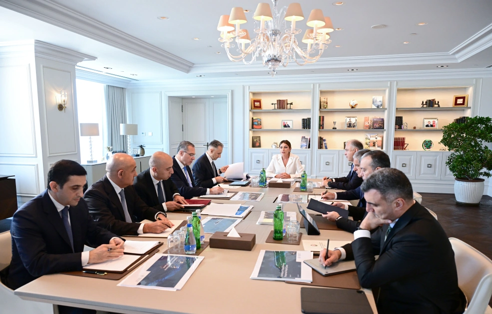 First Vice President Mehriban Aliyeva chairs first meeting of Council on Digital Development (PHOTO)