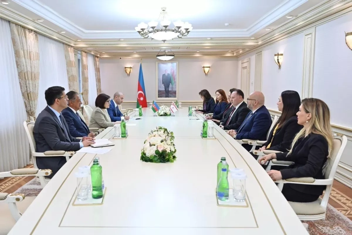 Azerbaijan, Northern Cyprus deepen strategic parliamentary ties