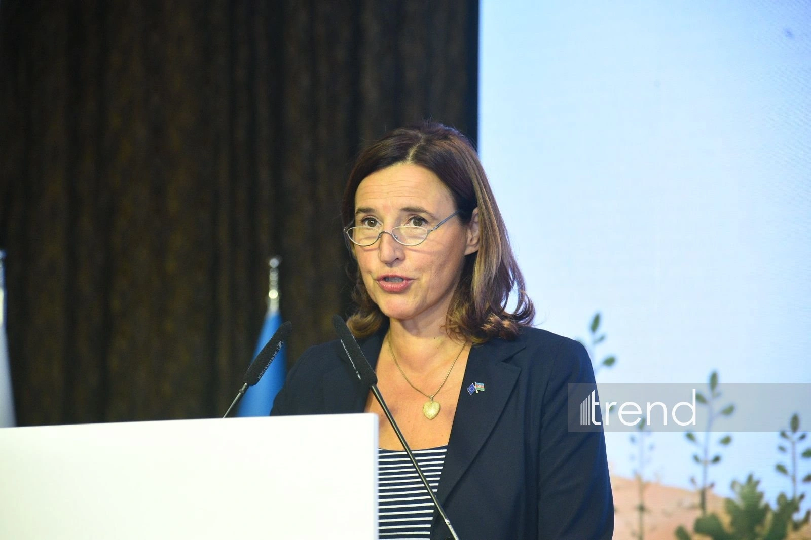 EU official spotlights demining’s role in return and reconstruction