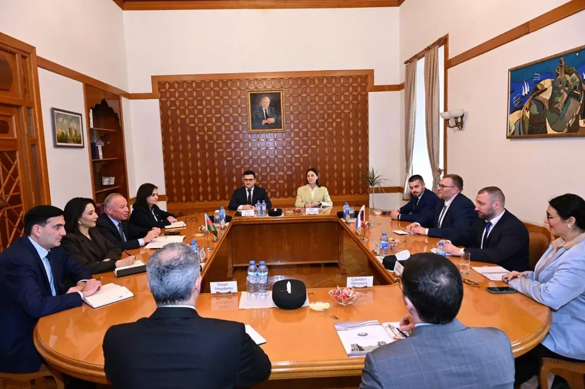 Azerbaijan, Slovakia discuss joint initiatives in legal, human rights spheres