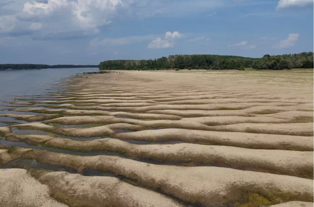 Reuters: Danube water levels drop to 30-year low, disrupting farming