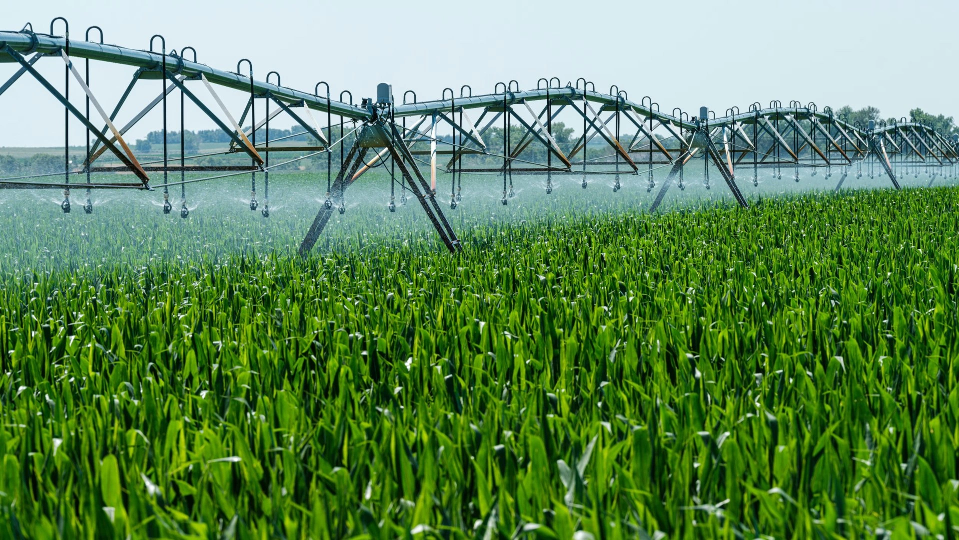 Kazakhstan sets water use limits to support stable vegetation period