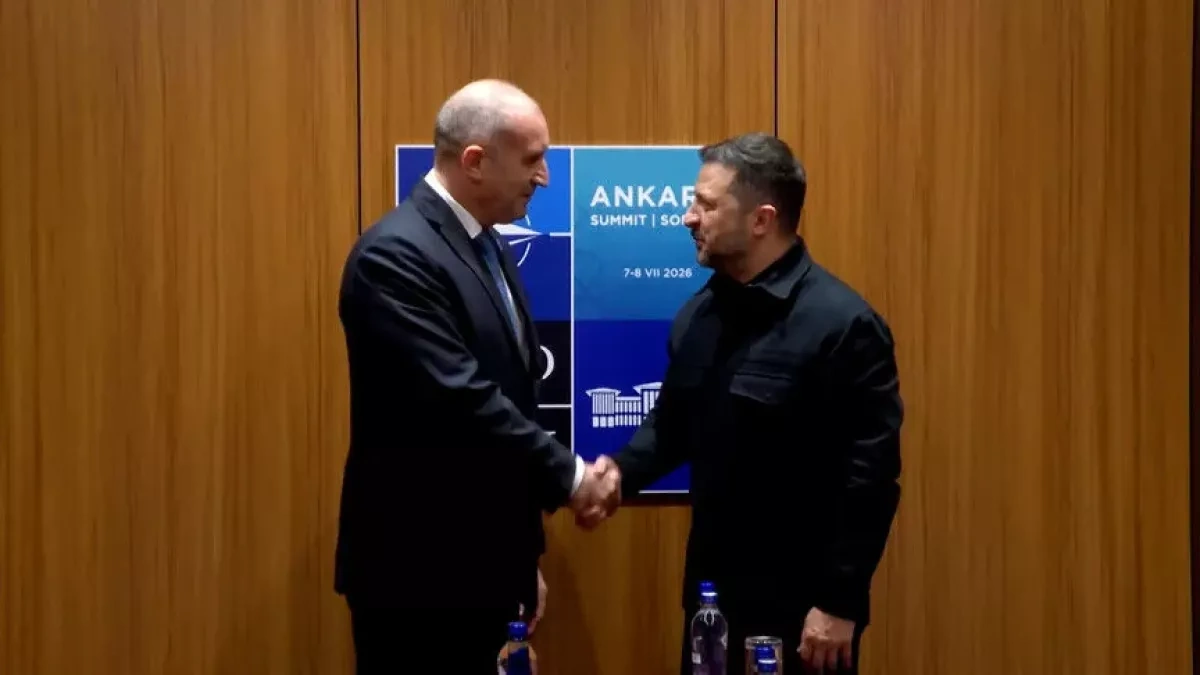 Bulgaria, Ukraine push energy cooperation during NATO talks