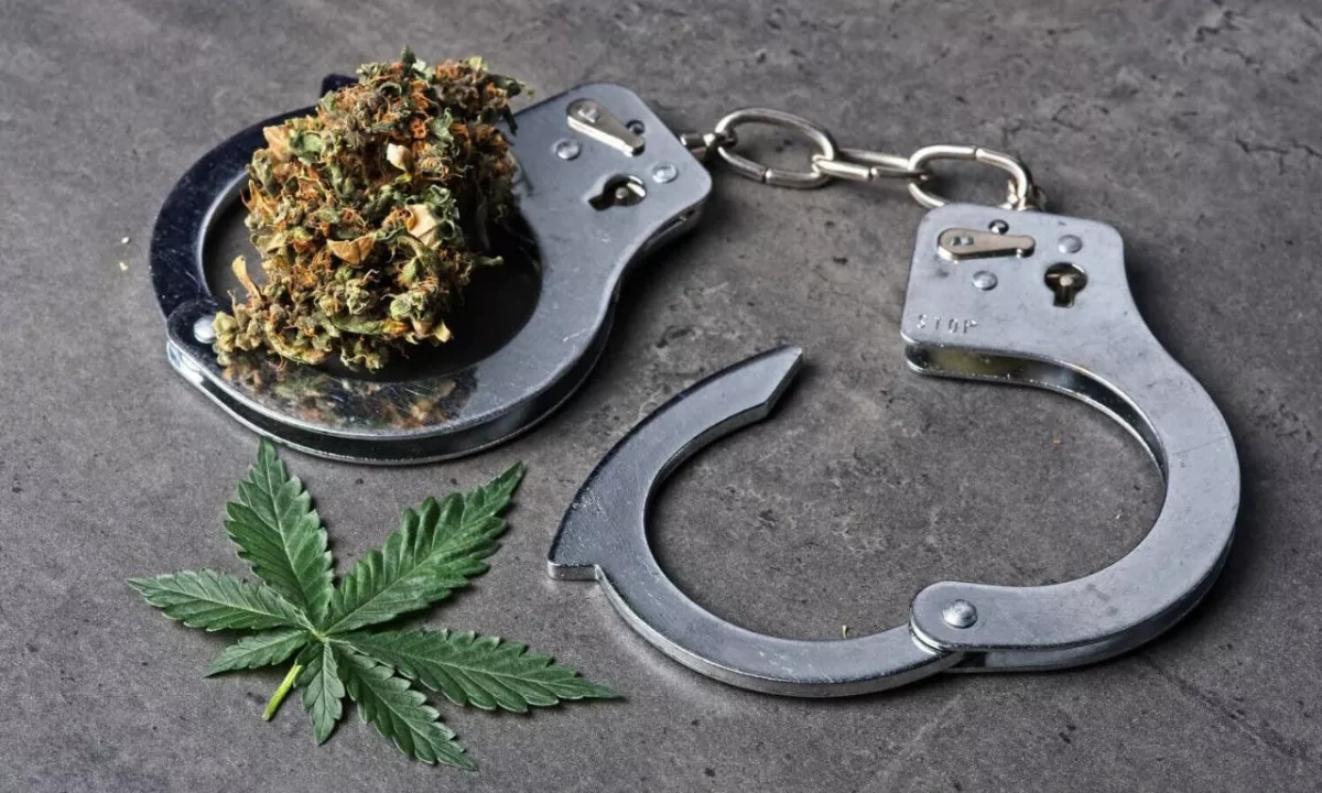 Georgia to set up centre to tackle illegal drug trade