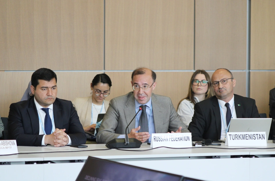 Leyla Aliyeva participates in Bonn discussion on environmental impact of Caspian Sea’s declining water level (PHOTO)