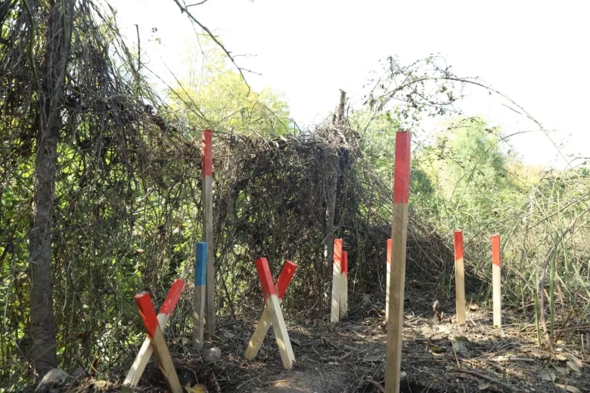 Azerbaijan clears 2,129 hectares of mines in May 1-11 operation Post-conflict cleanup accelerates