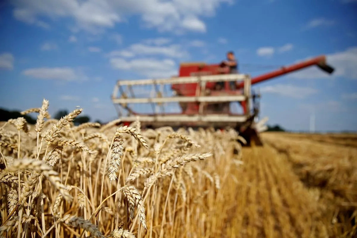 Cheap Russian wheat and Georgia’s food security challenge Article by Vladimir Tskhvediani
