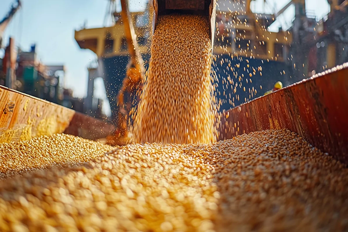 "Where Seas Meet Corridors": Georgia’s ports face surging demand Analysis by Vladimir Tskhvediani
