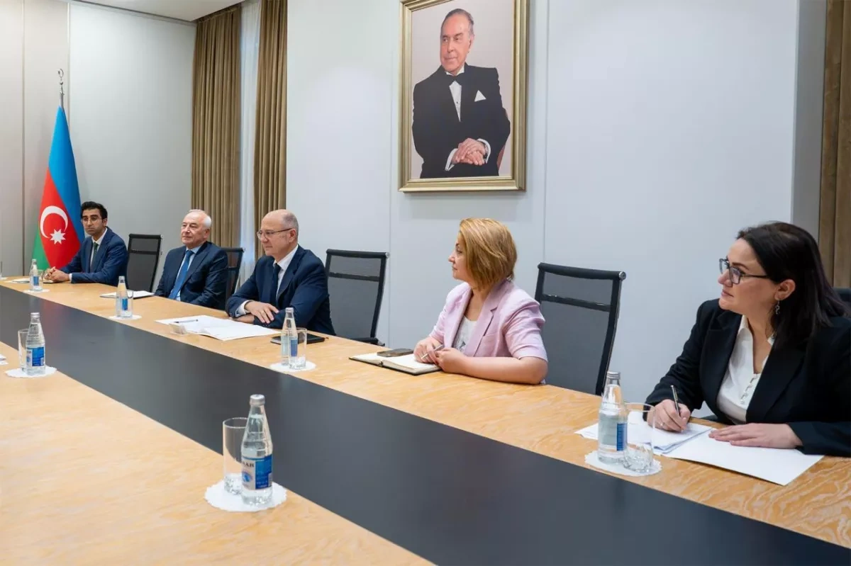 Azerbaijan, IEC move to expand cooperation in energy sector PHOTO